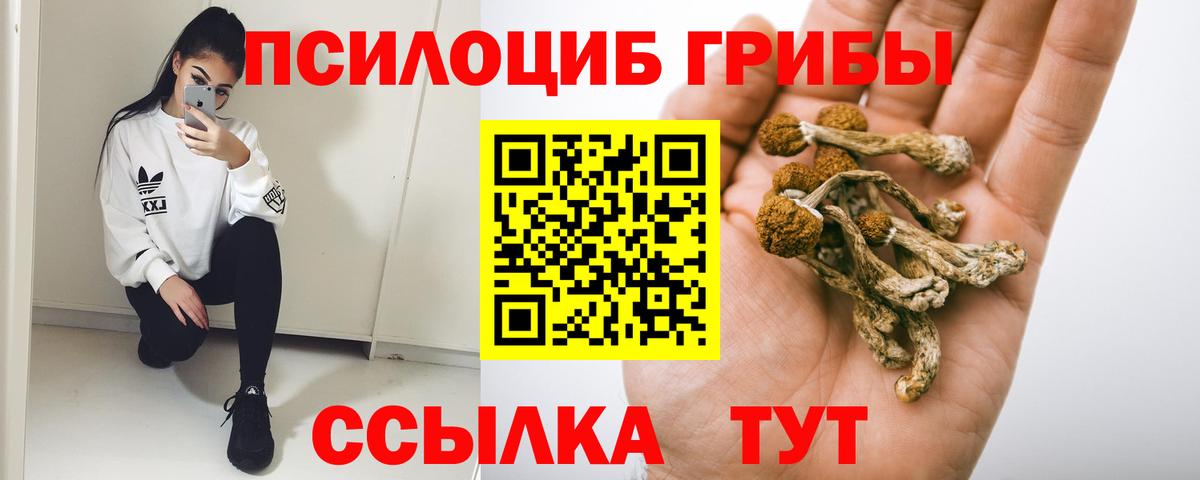 продажа наркотиков  Вход с VPN  Мценск  Галлюциногенные грибы Magic Shrooms 